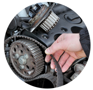 Timing Belts